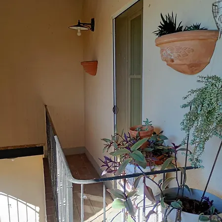 Casa Molin Bianco IL Vignale